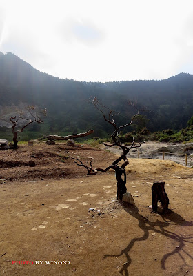 kawah Sikidang, Dieng