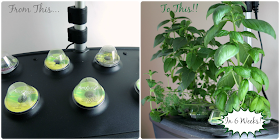 Why You Need An #AeroGarden (Product Review) + a 20% Off Discount Code #ad