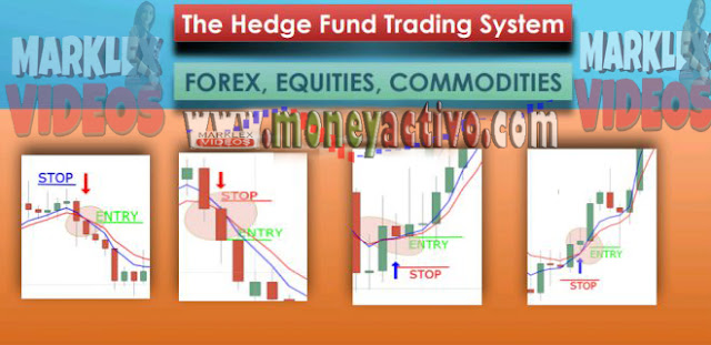 Trading system hedge funds