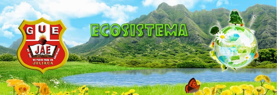 ECOSISTEMA