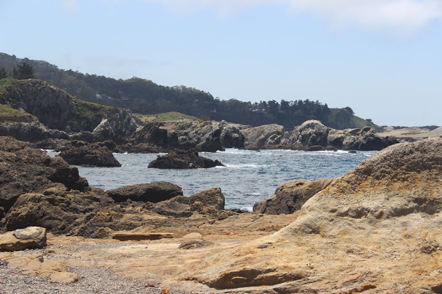 Point Lobos State Reserve, Cypress Trail, Headland Cove, Cypress Cove