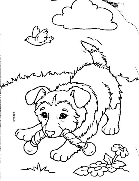 Cute Puppy Coloring Pages Simple With Image Of Cute Puppy Interior 