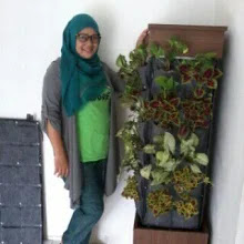 Jual taman vertikal office
