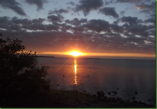 AM Everglades Morning (14)