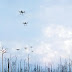 Tree-Planting Drones Have Planted Thousands Of Saplings Successfully – And They Are Planting More 