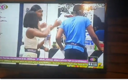 BBNajia S7: Kasala don burst as loverbirds sheggz and Bella gets into heated arguments with another housemate [Watch Video👇] 
