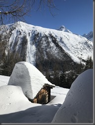 Chalet les Aiguilles (118)