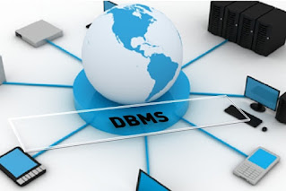 DBMS (Database Management System)