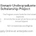 Benazir Undergraduate Scholarship Project