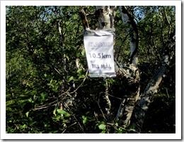 Hoppsan hoppsan mindre än en 10:del kvar. Synd bara att den känns dubbelt så lång som motsvarande sträcka i början av loppet.