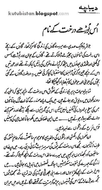 Preface of Khaak Aur Khoon Novel