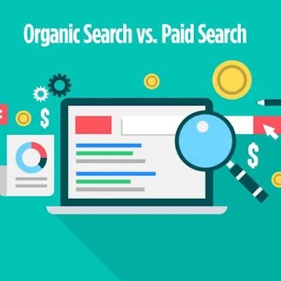Paid Search vs Organic