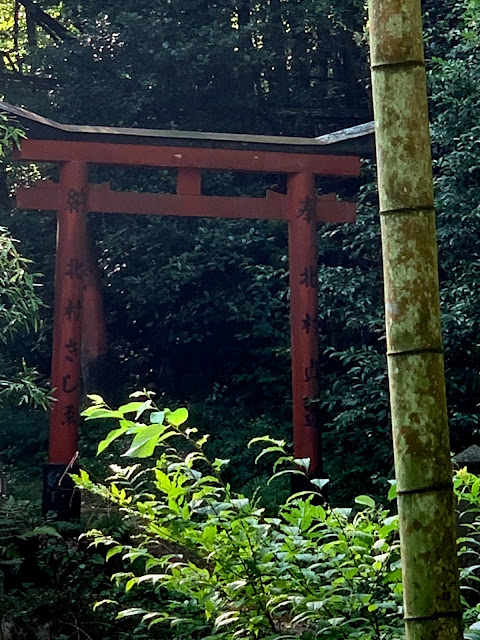 #大岩神社　#廃墟　#マムシ