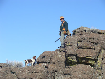 Bird dogs and bird hunting