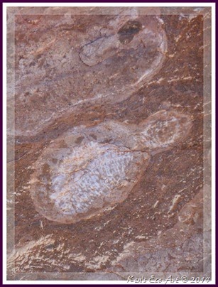 EFP-P1070170