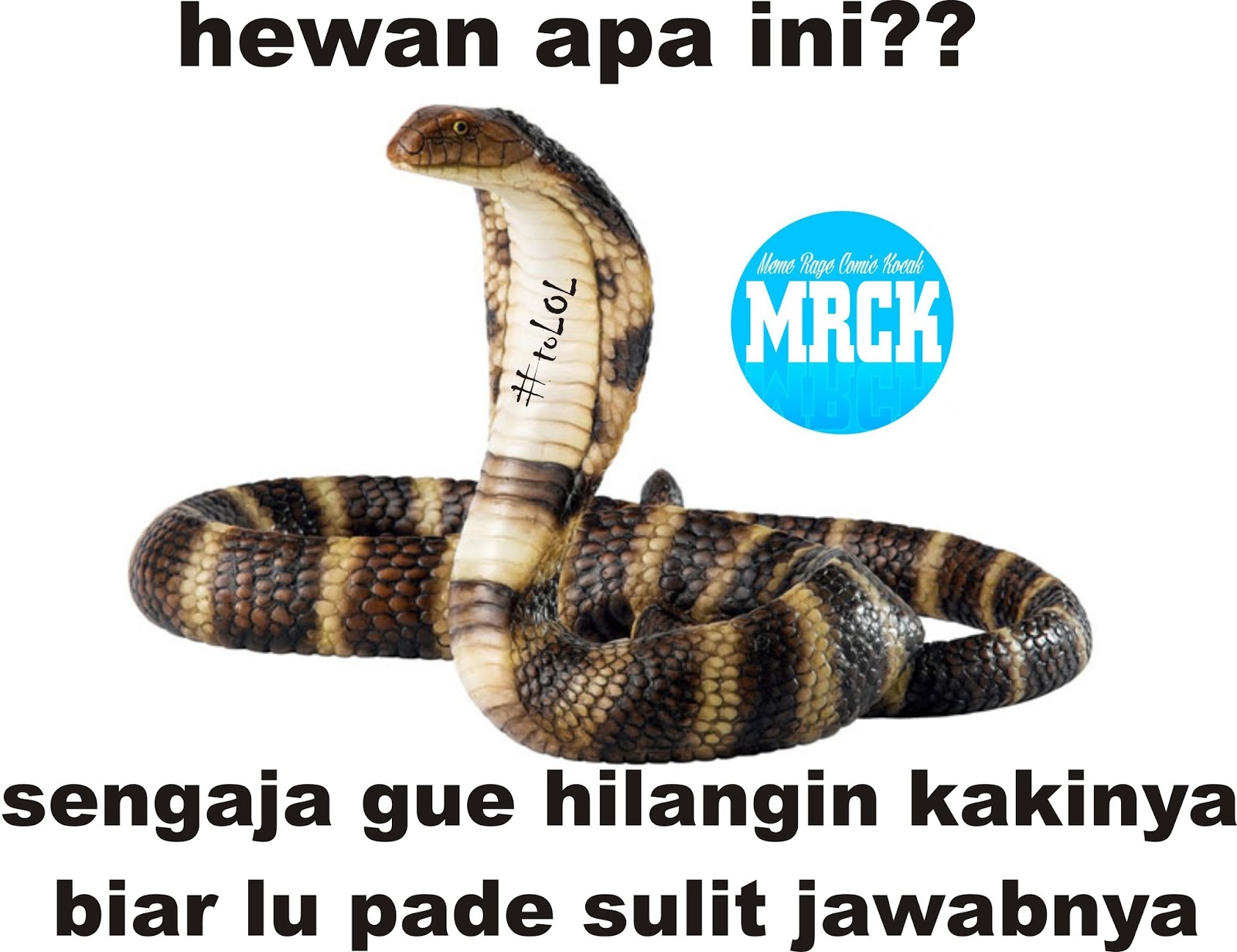 Kumpulan Meme Indonesia Helwin Keno