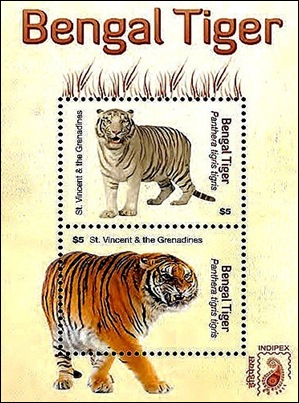 bengal tiger