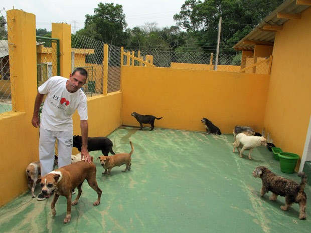 Lotadas, ONGs deixam de recolher cães e gatos abandonados em SP