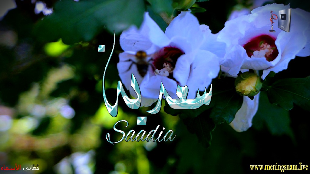 معنى اسم, سعدية, وصفات, حاملة, هذا الاسم, Saadia,