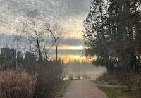 Pathway next to Lagoon with Golden Light in the Sky