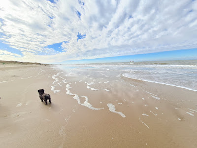 Mit Hund am Strand Callantsoog