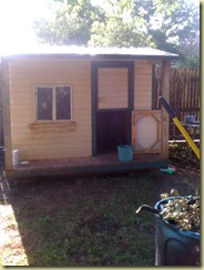 photo(12)