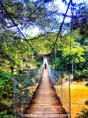 6 Cara seru menikmati Ekowisata Tangkahan di Langkat  Tangkahan merupakan salah satu Ekowisata yang terletak di kawasan Taman Nasional Gunung Leuser (TNGL) terdapat di Kabupaten langkat Sumatera Utara yang berbatasan dengan provinsi Aceh. Tangkahan yang terletak di dua desa yaitu Namo sialang dan Sei serdang kecamatan Batang Serangan Kabupaten Langkat. Dengan Luas areal wisata sekitar 17.000 hektar. Ekowisata Tangkahan Langkat merupakan tempat wisata yang terkenal dengan hutan hujan tropis nya, maka tak heran jika tempat ini dijuluki The Hiden Paradise in Sumatera.  Tempat wisata Tangkahan di langkat salah satu tempat wisata andalan di Sumatera Utara selain Danau Toba, Berastagi dan Bukit Lawang, tak hanya warga Langkat dan wisatawan lokal, Tangkahan juga menjadi destinasi yang sering dikunjungi wisatawan manca negara, maka tak heran jika kamu mengunjungi tempat ini kamu akan sering bertemu dengan wisatawan asing yang sedang berlibur disini. Baru-baru ini Tangkahan kembali menjadi sorotan publik karena menjadi lokasi syuting video klip dari lagu “Adu rayu” hasil kolaborasi penyanyi dan musisi Yovie, Tulus dan Glenn Fredly. Video klip ini menyita perhatian lantaran pemainnya yakni Nicholas Saputra dan Velope Fexia mengambil lokasi syuting di Hutan hujan tropis Tangkahan dan Balai konservasi Gajah yang ada disini. Jika kamu pecinta alam, tempat ini jadi rekomendasi untuk kamu sebagai tempat yang patut dikunjungi, berikut beberapa aktivitas yang bisa kamu lakukan di Ekowisata Tangkahan. 1. Menelusuri Hutan (Hiking) Bagi pencinta alam yang suka mengeksplor hutan, disini juga terdapat tour guide yang akan menemani kamu untuk menelusuri hutan. Selain kamu bisa menelusuri hutan dengan jalan kaki, disini juga menawarkan paket wisata hiking dengan mengendarai gajah hingga masuk ke hutan. Tarif dari ratusan ribu per orang, kamu juga masih bisa nego jika kamu datang beramai-ramai. 2. Tubing di Sungai Selain menikmati suasana hutan tropis, objek lain yang bisa kamu nikmati disini yaitu sungai. Wisatawan juga bisa melakukan river tubing dan menakhlukan arus sungai Sei Batang Serangan. Selama tubing, wisatawan bisa menikmati dinginnya air sungai, tebing-tebing di pinggir sungai dan sejuknya pemandangan hijau di sekitar sungai.  3. Memandikan Gajah Tangkahan juga terdapat Conservation Response Unit (CRU) yakni balai konservasi gajah yang merawat gajah-gajah yang sempat masuk ke pemukiman warga. Di tempat ini gajah-gajah dirawat, diberi makan setiap hari dan di mandikan dua kali sehari yaitu pagi dan sore. Jadi jika kamu ingin ikut memandikan gajah waktu yang tepat yakni jam 7 pagi dan jam 5 sore setiap harinya.  4. Menyebrangi Jembatan Gantung Kamu yang sudah menonton video kip “Adu Rayu” Pasti menyadari tempat satu ini, jembaran gantung Tangkahan. Jembatan gantung di Tangkahan memang cukup menarik. Pasalnya jembatan ini membentang sejauh 50 meter dengan tinggi mencapai 50 meter dari atas sungai. Untuk menyebrangi jembatan ini maksimal 10 orang untuk sekali jalan, hal ini bertujuan agar jembatan di tak berguncang dan kelebihan beban ketika di lalui. Dari atas jembatan kita bisa menikmati pemandangan sungai dan hutan tropis yang menenangkan. 5. Mandi di Air Terjun Di Tangkahan juga terdapat beberap Ait Terjun yang dapat kamu nikmati. Untuk mencapai air terjun ini kamu harus menyebrangi sungai-sungai kecil, kaena letak air terjun yang di tengah pepohonan rindang. Suhu Air disini sangat dingin dan segar. Tinggi Air terjun ini sekitar tiga meter, dibawah air terjun terdapat bongkahan batu-batu besar. Selain Air terjun yang dingin, Tangkahan juga memiliki sumber air panas yang terletak di pinggir tebing sungai, air ini berasal dari atas tebing. 6. Camping Tempat wisata ini juga menyediakan Camping Area di dekat sungai pemandian gajah, jadi jika kamu backpaker berasal dari luar kota dan ingin bermalam di Tangkahan tapi minim budget, kamu bisa camping disini. Atau kamu yang ingin merakasan pengalaman berbeda berlibur dengan keluarga dan ingin barbeqeuan saat weekend disini juga bisa. Yang terpenting tetap menjaga kebersihan dan lingkungan.