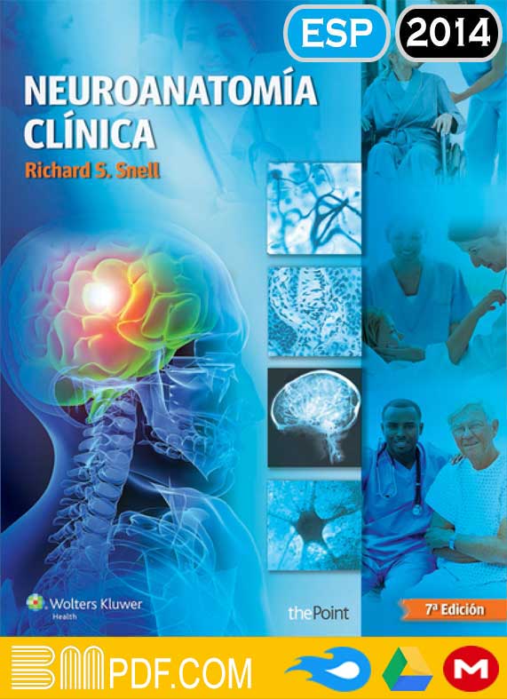 Snell Neuroanatomía clínica 7ma edición PDF, Anatomía humana