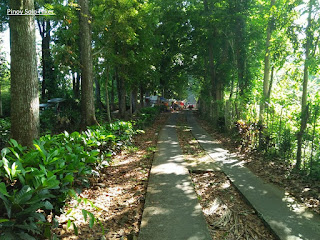 Pinoy Solo Hiker - Bato Springs