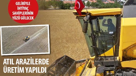 ​Atıl Arazilerde Üretim Yapıldı, Geliriyle İhtiyaç Sahiplerinin Yüzü Gülecek