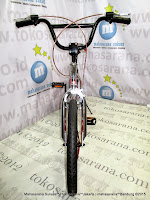 20 Inch Evergold BMX Bike