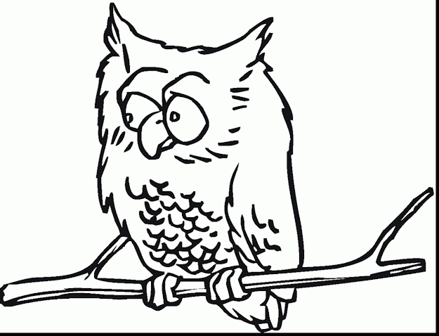 Amazing Owl Coloring Pages For Kids With Owl Coloring Page And Owl Coloring  Pages Hard