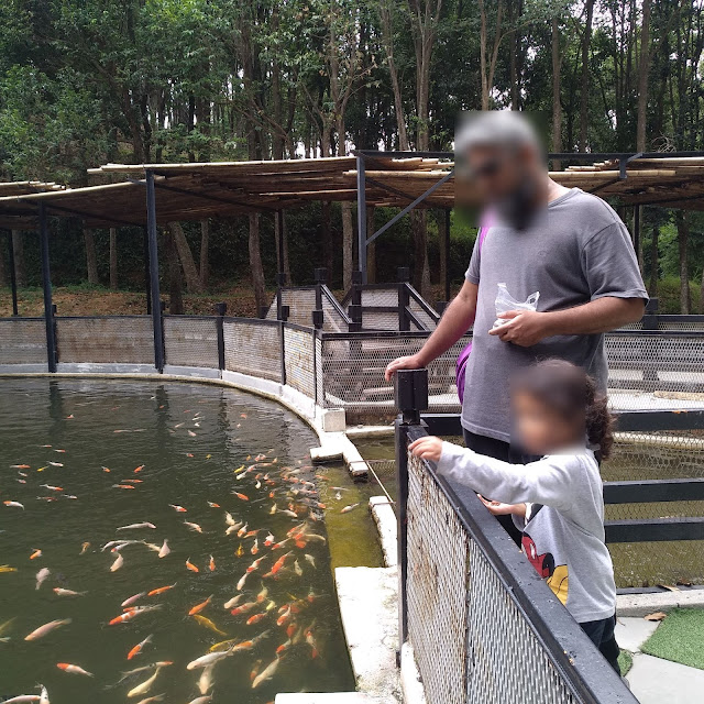 Cuti best di Ipoh dengan anak-anak