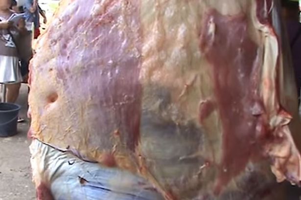 Slab of meat appeared to be alive in Tagaytay Market, Philippines.