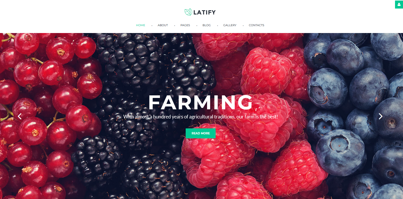 https://www.templatemonster.com/joomla-templates/farm-responsive-joomla-template-64553.html?aff=rahulxarma