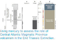 https://sciencythoughts.blogspot.com/2016/04/using-mercury-to-assess-role-of-central.html