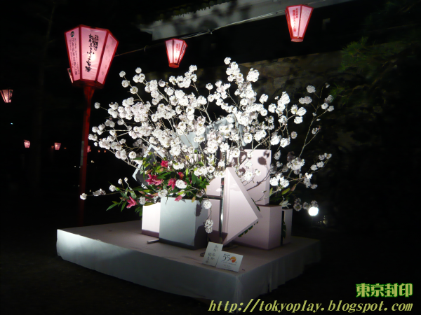 東京封印 櫻花與光影交織而成的高知花回廊