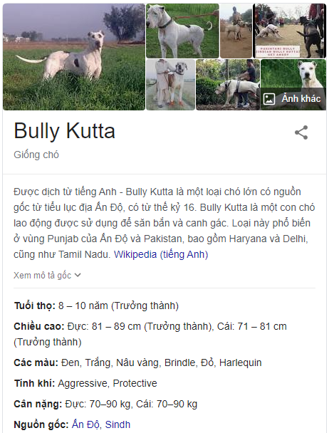 Bully Kutta