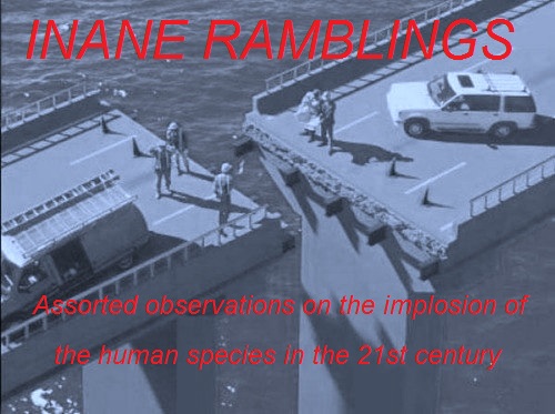 INANE RAMBLINGS
