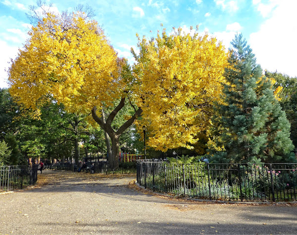 Tompkins Square Park 25 October 2015