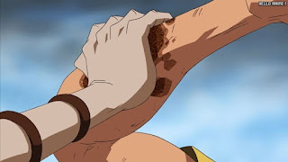 ワンピース アニメ エニエスロビー編 309話 シュウ サビサビの実 | ONE PIECE Episode 309 Enies Lobby