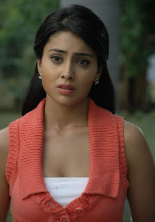 Hot actress Shriya Saran Stills