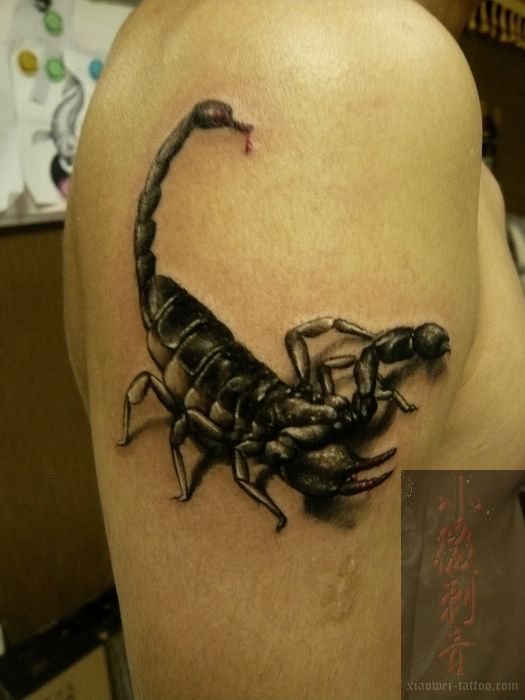 Scorpion 3D Tattoo Design, Tattoo art on body