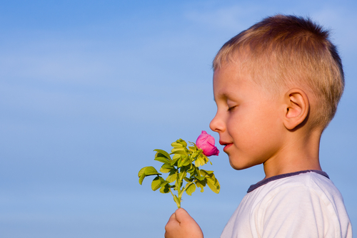 Resultado de imagem para menino com flor