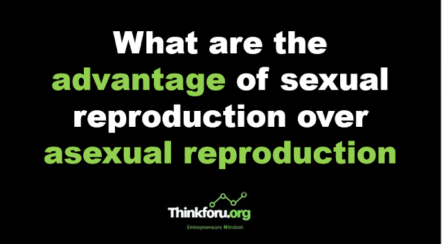 What are the advantage of sexual reproduction over asexual reproduction