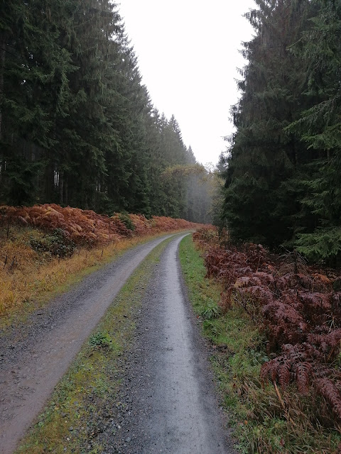 Sauerland wandern Wetter blog Arnsberger Wald Meschede