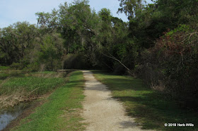 Pedrick Pond Park Trail