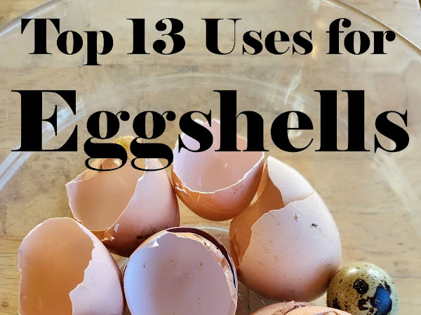 Top 13 Uses for Eggshells