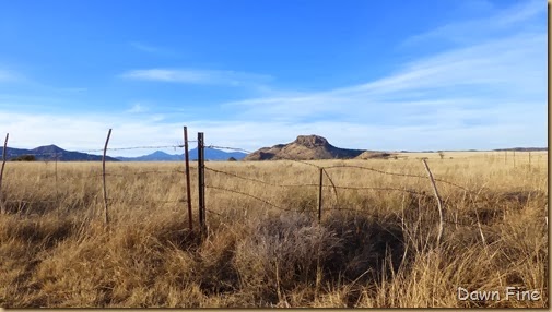 San Rafael Grasslands_002