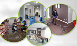 Capital Restoration Services